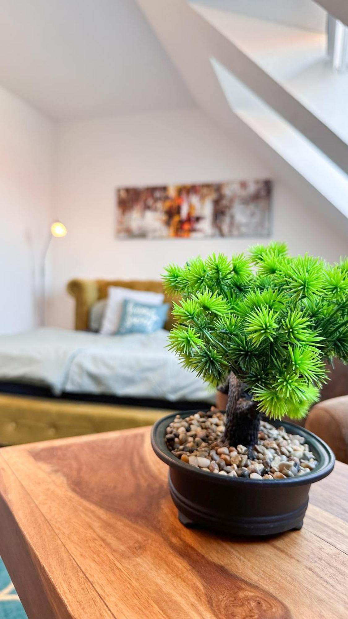 Homestayplus Schwerin Schwerin  Exteriör bild